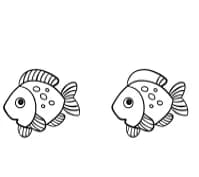 Aquatic Animal by Ketsarin — Dingbats Font — thumbnail 8