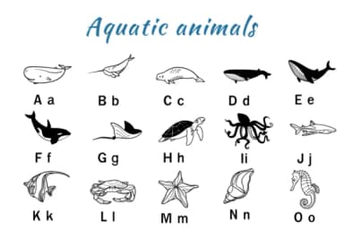 Aquatic Animals by Nun Sukhwan — Dingbats Font — thumbnail 2