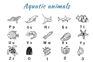 Aquatic Animals by Nun Sukhwan — Dingbats Font — thumbnail 3