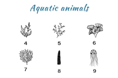 Aquatic Animals by Nun Sukhwan — Dingbats Font — thumbnail 4