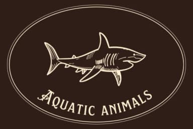 Aquatic Animals by Nun Sukhwan — Dingbats Font — thumbnail 5