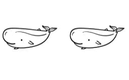 Aquatic Animals by Nun Sukhwan — Dingbats Font — thumbnail 7