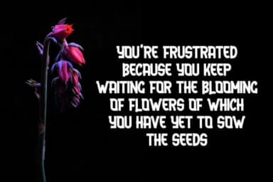 Arena Sky by Skiiller Studio — Slab Serif Font — thumbnail 5