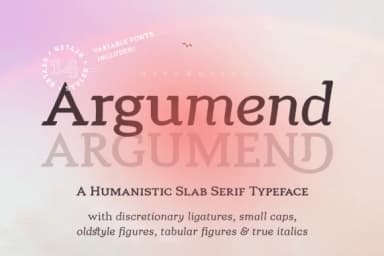 Argumend by Ayca Atalay — Slab Serif Font — thumbnail 1