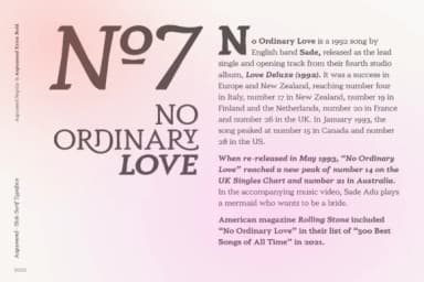 Argumend by Ayca Atalay — Slab Serif Font — thumbnail 4