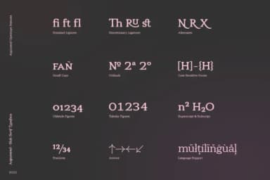 Argumend by Ayca Atalay — Slab Serif Font — thumbnail 6