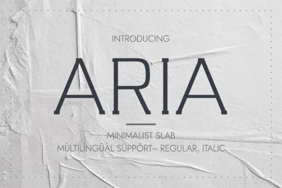Aria by Minimalistartstudio — Slab Serif Font