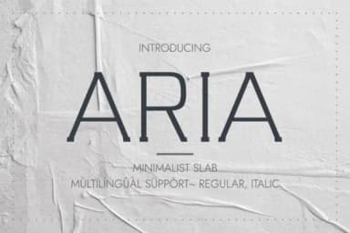 Aria by Minimalistartstudio — Slab Serif Font — thumbnail 1