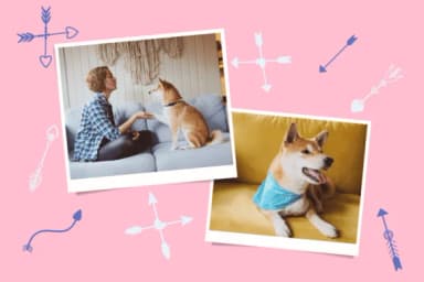 Arrow Doodle by Nun Sukhwan — Dingbats Font — thumbnail 6