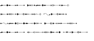 Arrow Doodle by Nun Sukhwan — Dingbats Font — thumbnail 8
