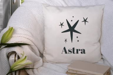 Astra by Suphitchaya — Dingbats Font — thumbnail 7