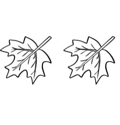 Autumn Doodle by Sirinart — Dingbats Font — thumbnail 7