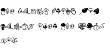 Autumn Elements by Sontaya — Dingbats Font — thumbnail 8