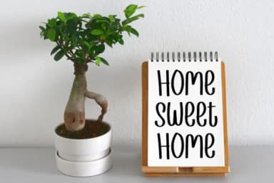 Autumn Flower by GiaLetter — Slab Serif Font — thumbnail 2