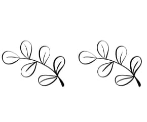 Autumn Flower by Sirinart — Dingbats Font — thumbnail 8