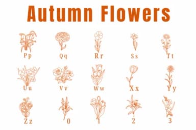 Autumn Flowers by Suphitchaya — Dingbats Font — thumbnail 3