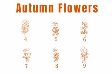 Autumn Flowers by Suphitchaya — Dingbats Font — thumbnail 4