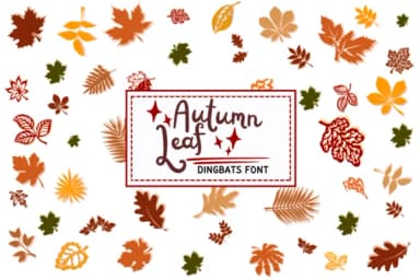 Autumn Leaf by PraewDesigns — Dingbats Font — thumbnail 1