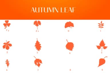 Autumn Leaf by Heartcraft Atelier — Dingbats Font — thumbnail 4