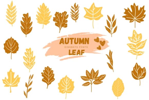 Autumn Leaf by Suphitchaya — Dingbats Font