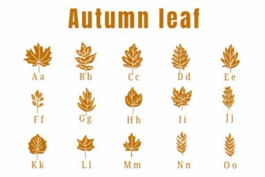 Autumn Leaf by Suphitchaya — Dingbats Font — thumbnail 2