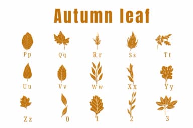 Autumn Leaf by Suphitchaya — Dingbats Font — thumbnail 3