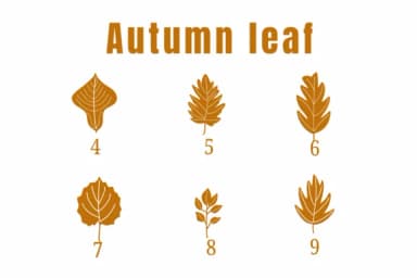 Autumn Leaf by Suphitchaya — Dingbats Font — thumbnail 4