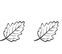 Autumn Leaver by Ketsarin — Dingbats Font — thumbnail 8