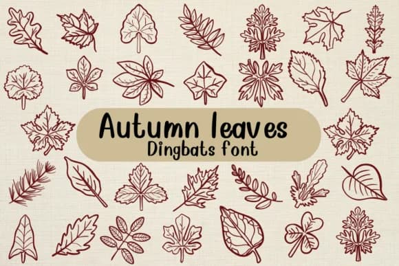 Autumn Leaves by Nongyao — Dingbats Font