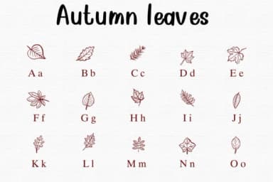 Autumn Leaves by Nongyao — Dingbats Font — thumbnail 2