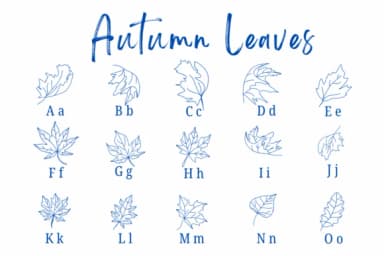 Autumn Leaves by Suphitchaya — Dingbats Font — thumbnail 2