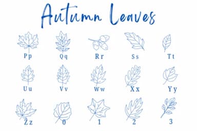 Autumn Leaves by Suphitchaya — Dingbats Font — thumbnail 3