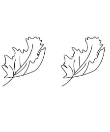 Autumn Leaves by Suphitchaya — Dingbats Font — thumbnail 8