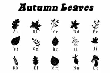Autumn Leaves by Suphitchaya — Dingbats Font — thumbnail 2