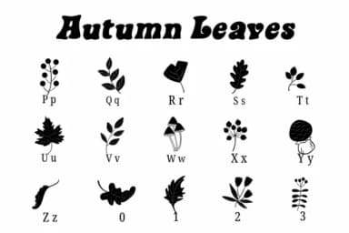 Autumn Leaves by Suphitchaya — Dingbats Font — thumbnail 3