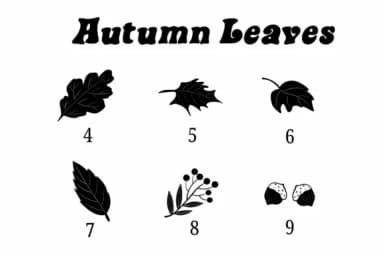 Autumn Leaves by Suphitchaya — Dingbats Font — thumbnail 4