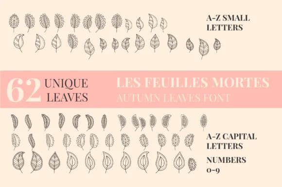 Autumn Leaves by Minimalistartstudio — Dingbats Font