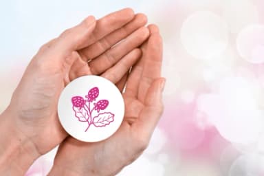 Autumn Season by Pui Art — Dingbats Font — thumbnail 8