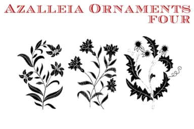 Azalleia Ornaments by Intellecta Design — Dingbats Font — thumbnail 2