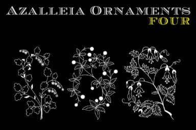 Azalleia Ornaments by Intellecta Design — Dingbats Font — thumbnail 4