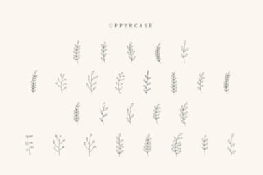 Baby Leave by CraftedType Studio — Dingbats Font — thumbnail 2