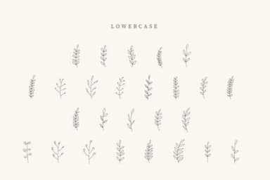 Baby Leave by CraftedType Studio — Dingbats Font — thumbnail 3