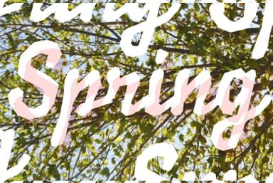 Balzac by Rodrigo Typo — Dingbats Font — thumbnail 2