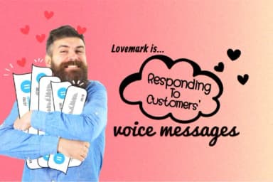 Banner and Arrows by Fox7 — Dingbats Font — thumbnail 3