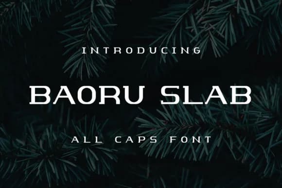 Baoru Slab by lelevien — Slab Serif Font