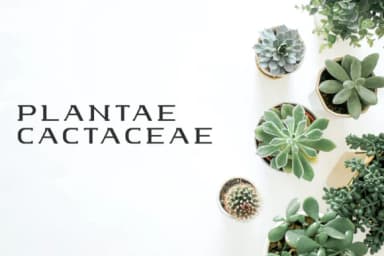 Baoru Slab by lelevien — Slab Serif Font — thumbnail 3