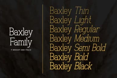 Baxley by Heinzel Std — Slab Serif Font — thumbnail 4