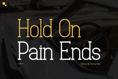 Baxley by Heinzel Std — Slab Serif Font — thumbnail 7