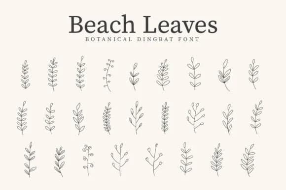 Beach Leaves by CraftedType Studio — Dingbats Font