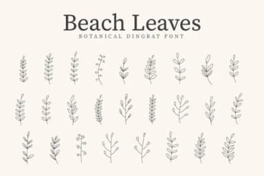 Beach Leaves by CraftedType Studio — Dingbats Font — thumbnail 1